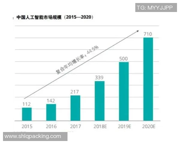 杭州羽毛球队的转型之路与未来发展趋势深度解析 杭州羽毛球队的转型之路与未来发展趋势深度解析