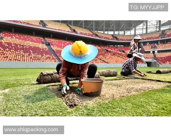 重庆足球队状态变革引发热议球迷期待新篇章的崛起与挑战