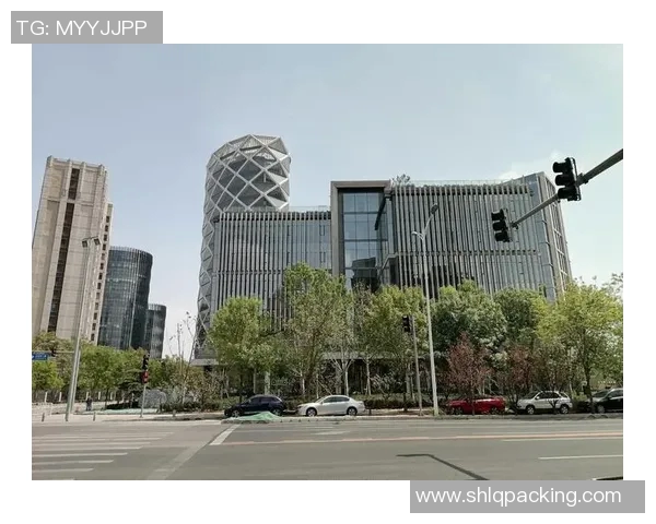 李泓澎:探索科技创新与人文关怀的交汇点与未来发展方向 李泓澎:探索科技创新与人文关怀的交汇点与未来发展方向