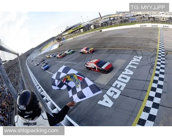 琼斯与科米尔的巅峰对决结果揭晓谁才是最终胜者