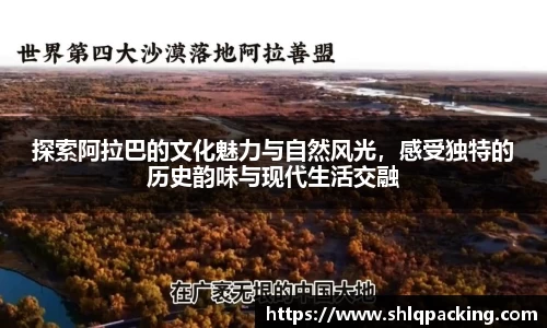 678体育官网下载