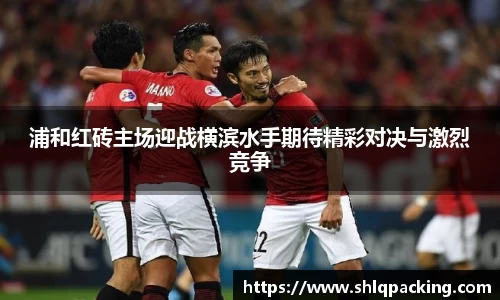 678体育官网