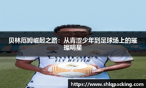678体育app